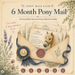 6 Month Pony Letter Subscription